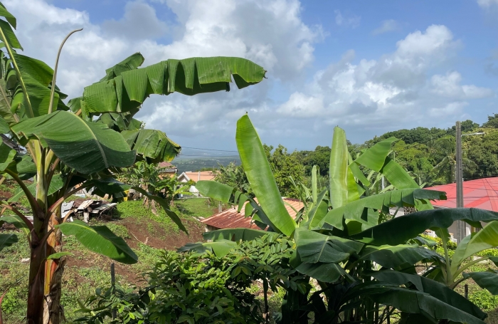 Location Maison 89.06m&sup2; 4 pi&#232;ces Le François