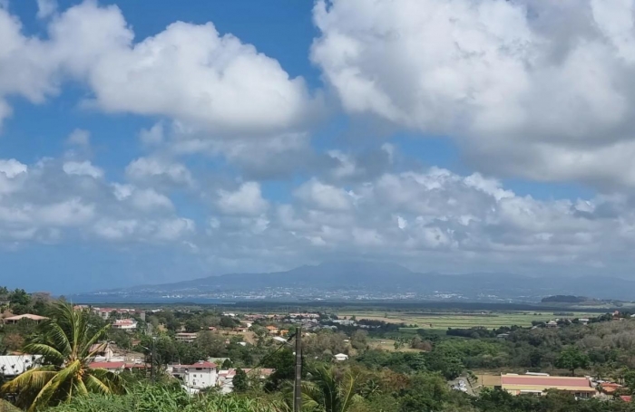 Vente Terrain Rivière Salée