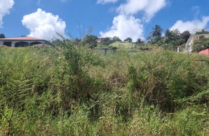 Vente Terrain Rivière Salée