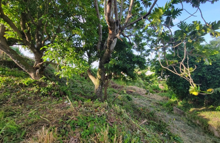 Rivière Salée; Terrain avec très belle vue