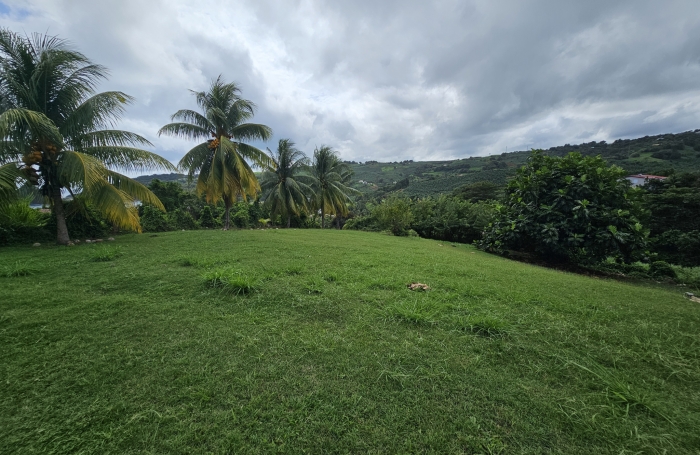 Maison à acheter au Marigot avec Agence Immo Conseil Martinque