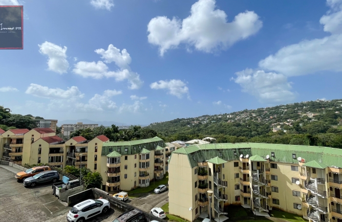 Appartement T4 enti&egrave;rement r&eacute;nov&eacute;, lumineux et moderne &agrave; Fort-de-France