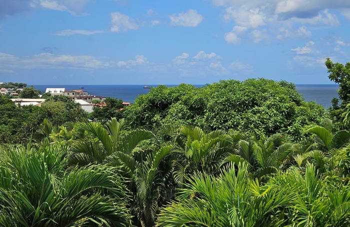 Jolie villa F3/4 atypique avec studio piscine et vue mer