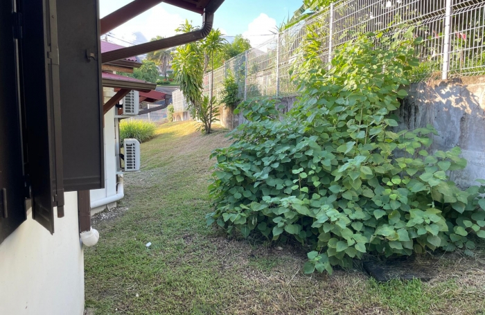 Grande maison en location à Shoelcher avec ACS IMMOBILIERS