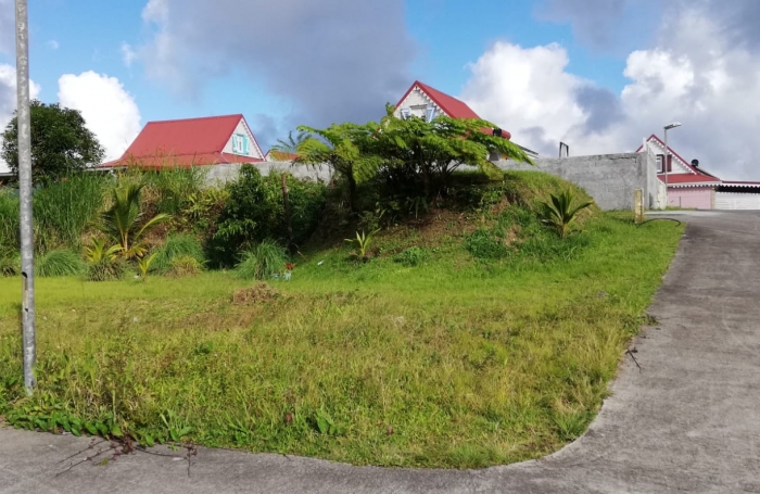 TERRAIN PLAT MORNE ROUGE