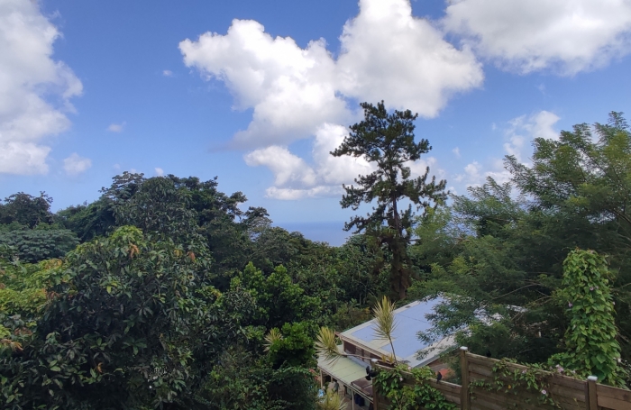 Haut de villa indépendant avec piscine privée et grand terrain arboré