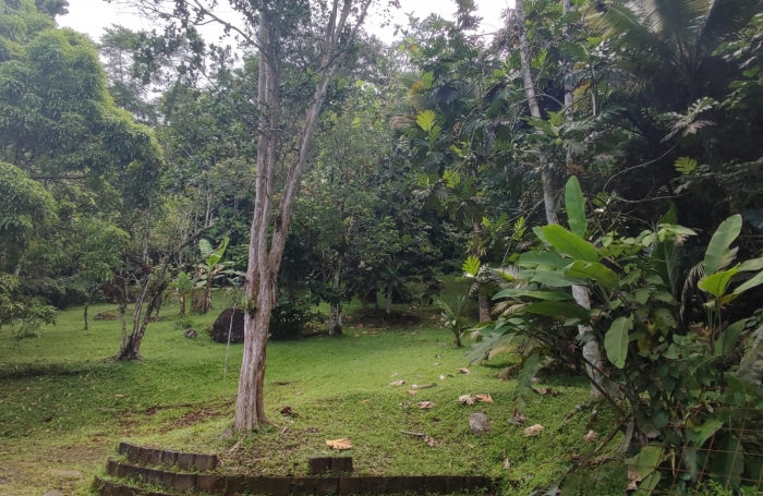 Haut de villa indépendant avec piscine privée et grand terrain arboré