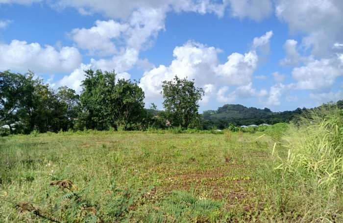 ST SPRIT: LOTISSEMENT HAUT DE GAMME