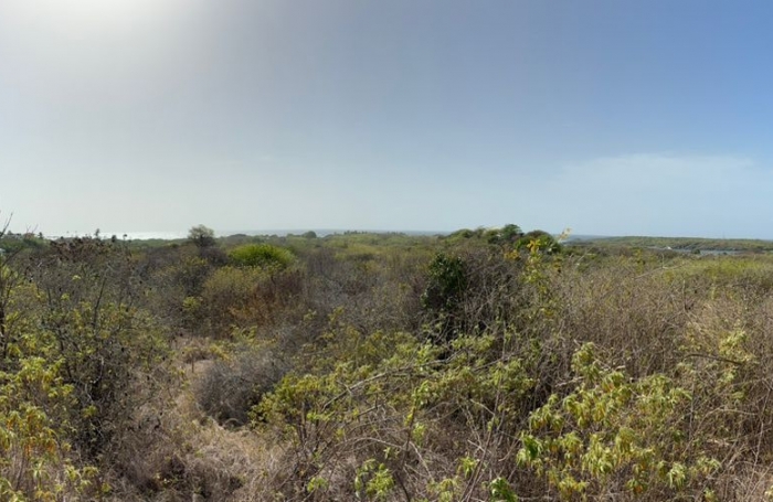 Terrain de 1100 m2 avec vue mer au Cap Chevalier - SAINTE-ANNE