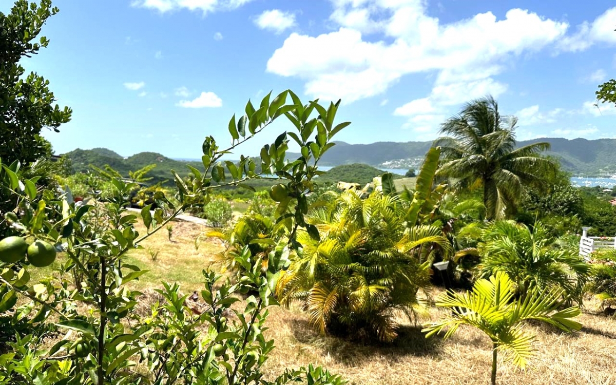 SAINTE ANNE- PROPRIETE VUE MER PANORAMIQUE 10000M² TERRAIN