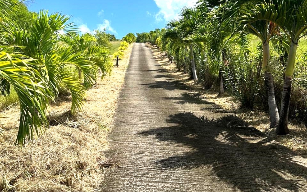 SAINTE ANNE- PROPRIETE VUE MER PANORAMIQUE 10000M² TERRAIN