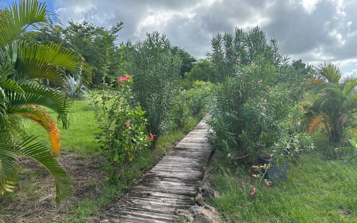 SAINTE ANNE- PROPRIETE VUE MER PANORAMIQUE 10000M² TERRAIN