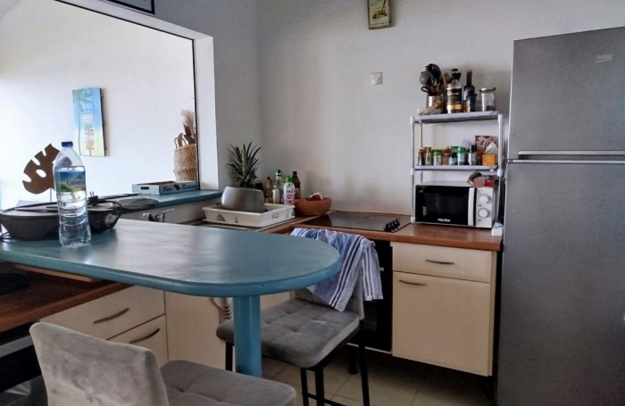 Location Appartement 54m&sup2; 3 pi&#232;ces Le Diamant