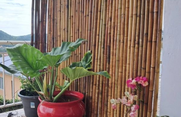 Location Appartement 80m&sup2; 2 pi&#232;ces Les Trois Ilets