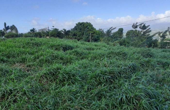 Vente Terrain 97232
