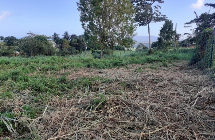 Vente Terrain 1704m&sup2; Le Lamentin