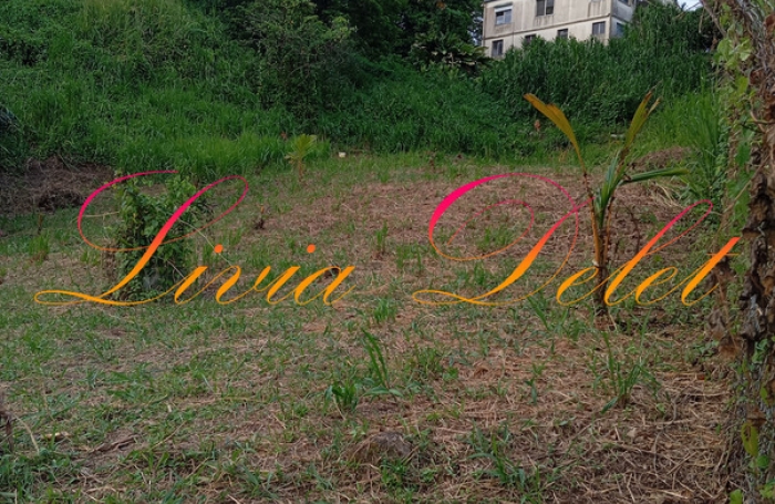 Vente Terrain 900m&sup2; Le Robert