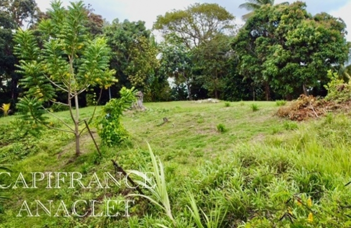 Vente Terrain 4525m&sup2; La Trinité