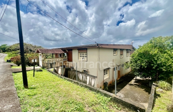 Vente Immeuble 394m&sup2; 12 pi&#232;ces Schoelcher