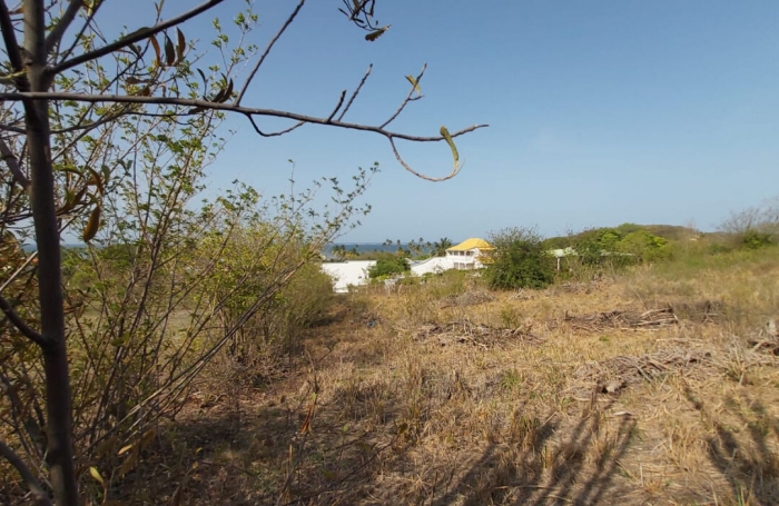 Vente Terrain 1745m&sup2; Le Vauclin