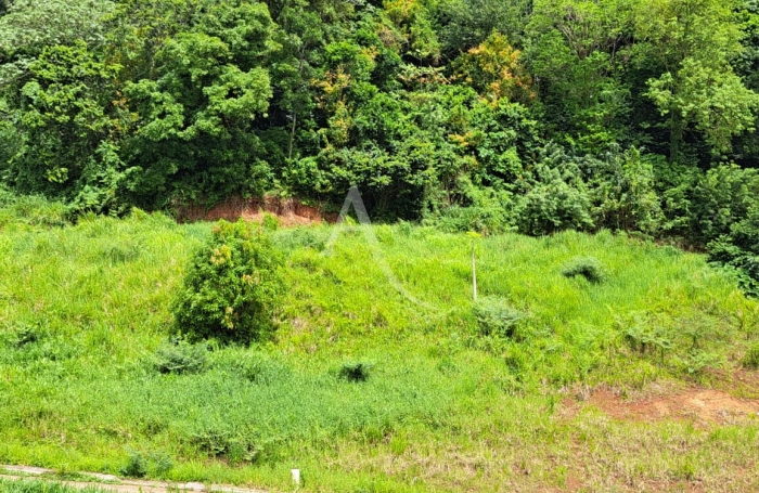 Vente Terrain 701m² Ducos