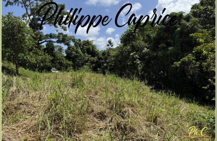 Vente Terrain 1015m&sup2; Le Marin