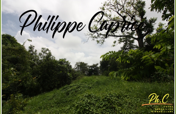 Vente Terrain 1015m&sup2; Le Marin