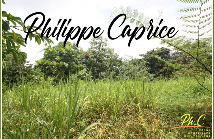 Vente Terrain 1015m&sup2; Le Marin