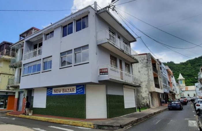 Vente Immeuble 301.04m&sup2; 8 pi&#232;ces Rivière Pilote