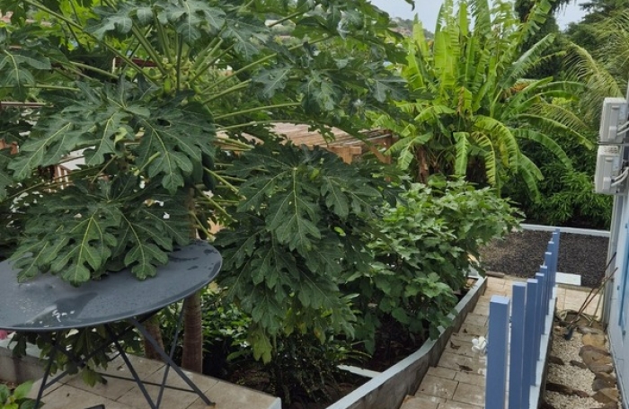 Vente Maison 125m&sup2; 5 pièces Les Trois Ilets