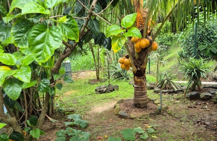 Vente Maison 125m&sup2; 5 pièces Les Trois Ilets