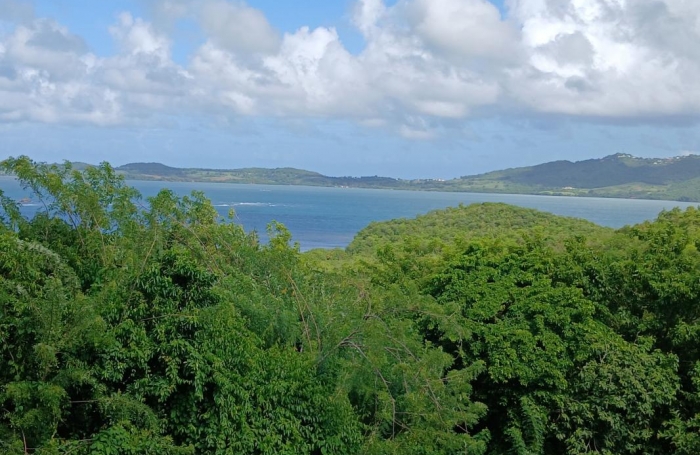 Vente Maison 87m&sup2; 4 pi&#232;ces Le Robert