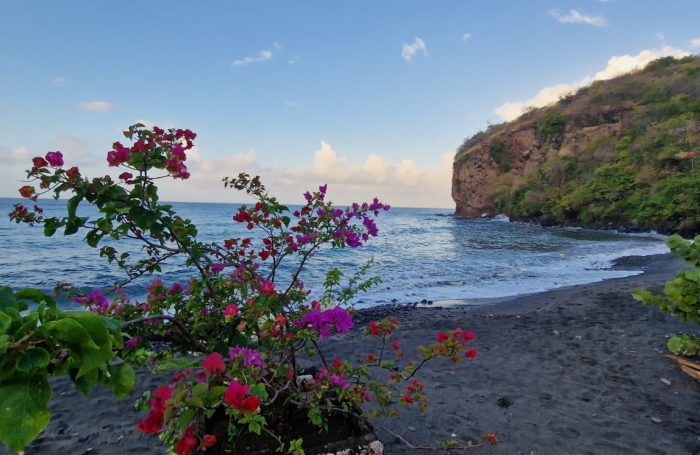 Appartement T2 Fonds Boucher - CASE-PILOTE