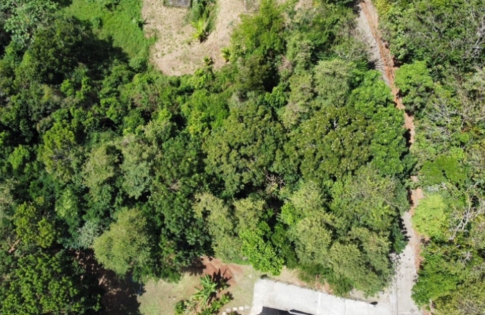 Vente Terrain 1981m&sup2; Sainte Luce