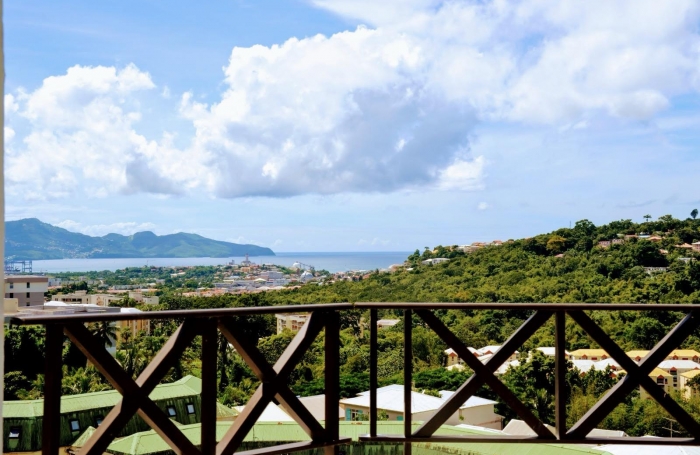 Lumineux F3 meubl&eacute; avec terrasses, proche CHU