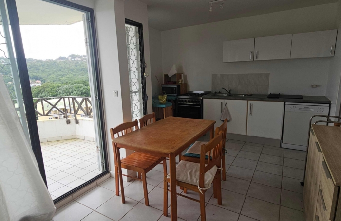 Lumineux F3 meubl&eacute; avec terrasses, proche CHU