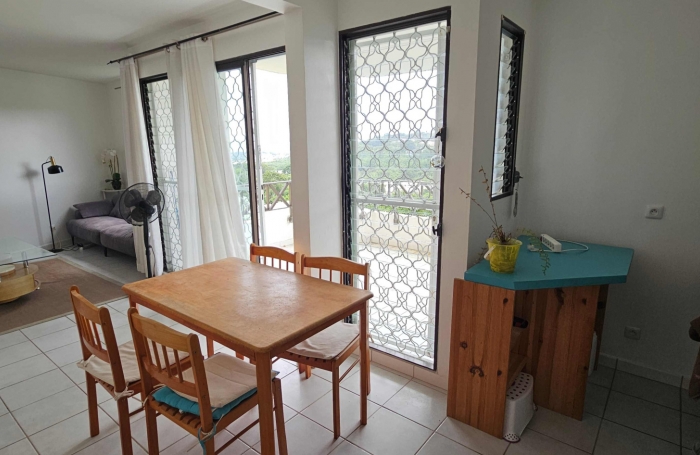 Lumineux F3 meubl&eacute; avec terrasses, proche CHU