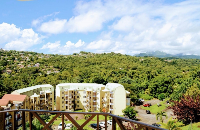 Lumineux F3 meubl&eacute; avec terrasses, proche CHU