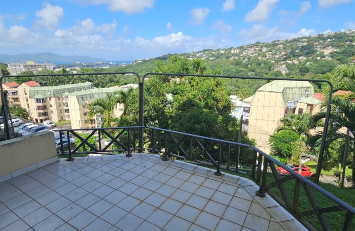 Lumineux F3 meubl&eacute; avec terrasses, proche CHU