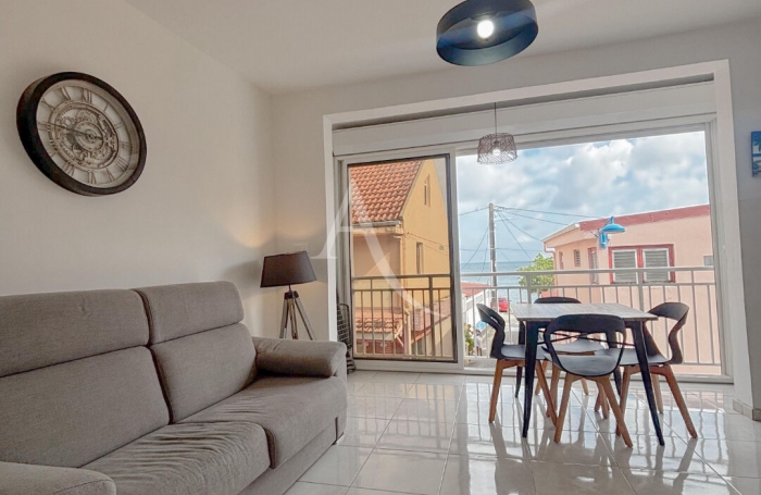 Vente Immeuble 244.51m&sup2; 7 pi&egrave;ces Sainte Luce