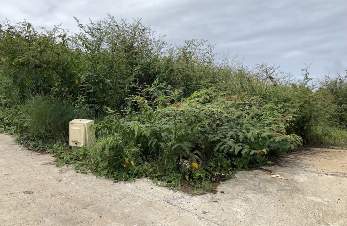 Terrain à bâtir de 513 m2 - LE MARIN