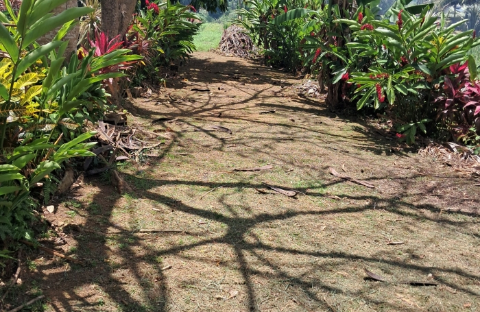 Terrain à batir zone CACEM