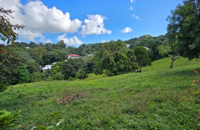 Vente Terrain 1373m&sup2; Le Robert