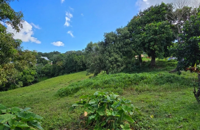 Vente Terrain 1333m&sup2; Le Robert