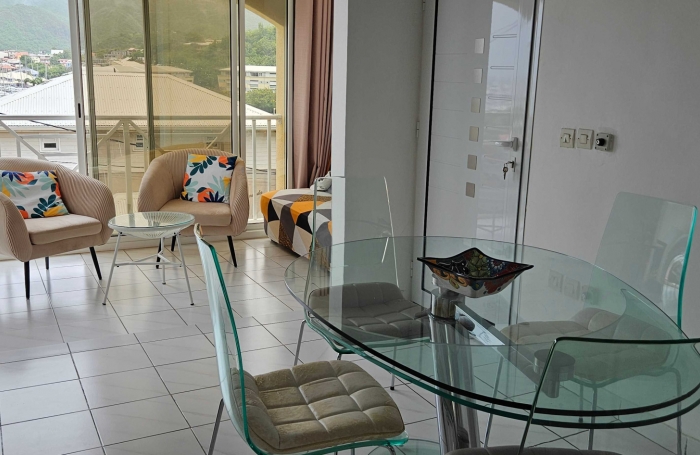 Lumineux F2/3 meublé avec vue sur la Marina