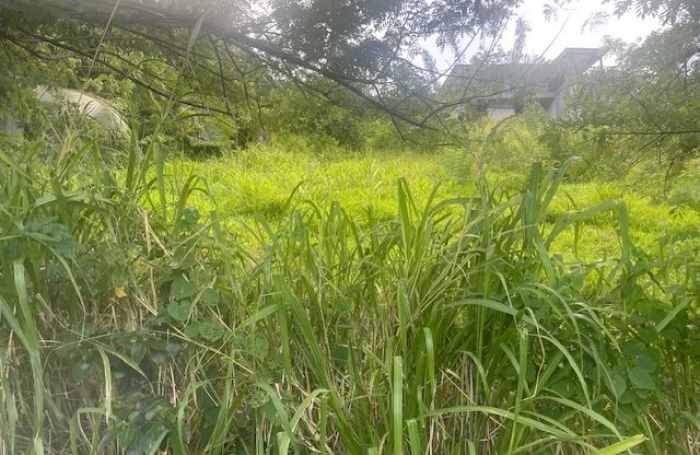 Vente Terrain 922m&sup2; Sainte Luce