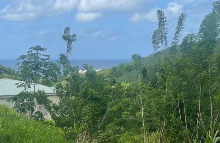 Vente Terrain 922m&sup2; Rivière Salée