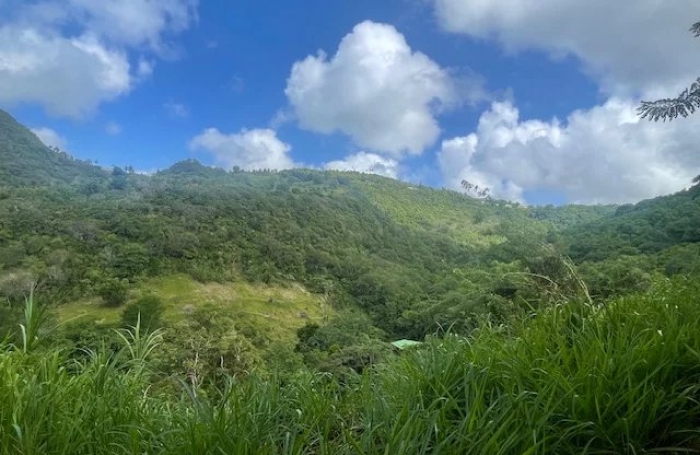 Vente Terrain 922m&sup2; Rivière Salée