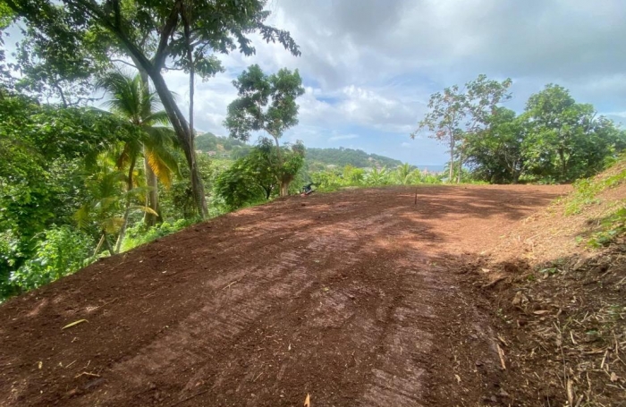 Vente Terrain 2479m&sup2; La Trinité