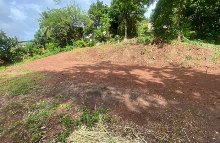 Vente Terrain 2479m&sup2; La Trinité